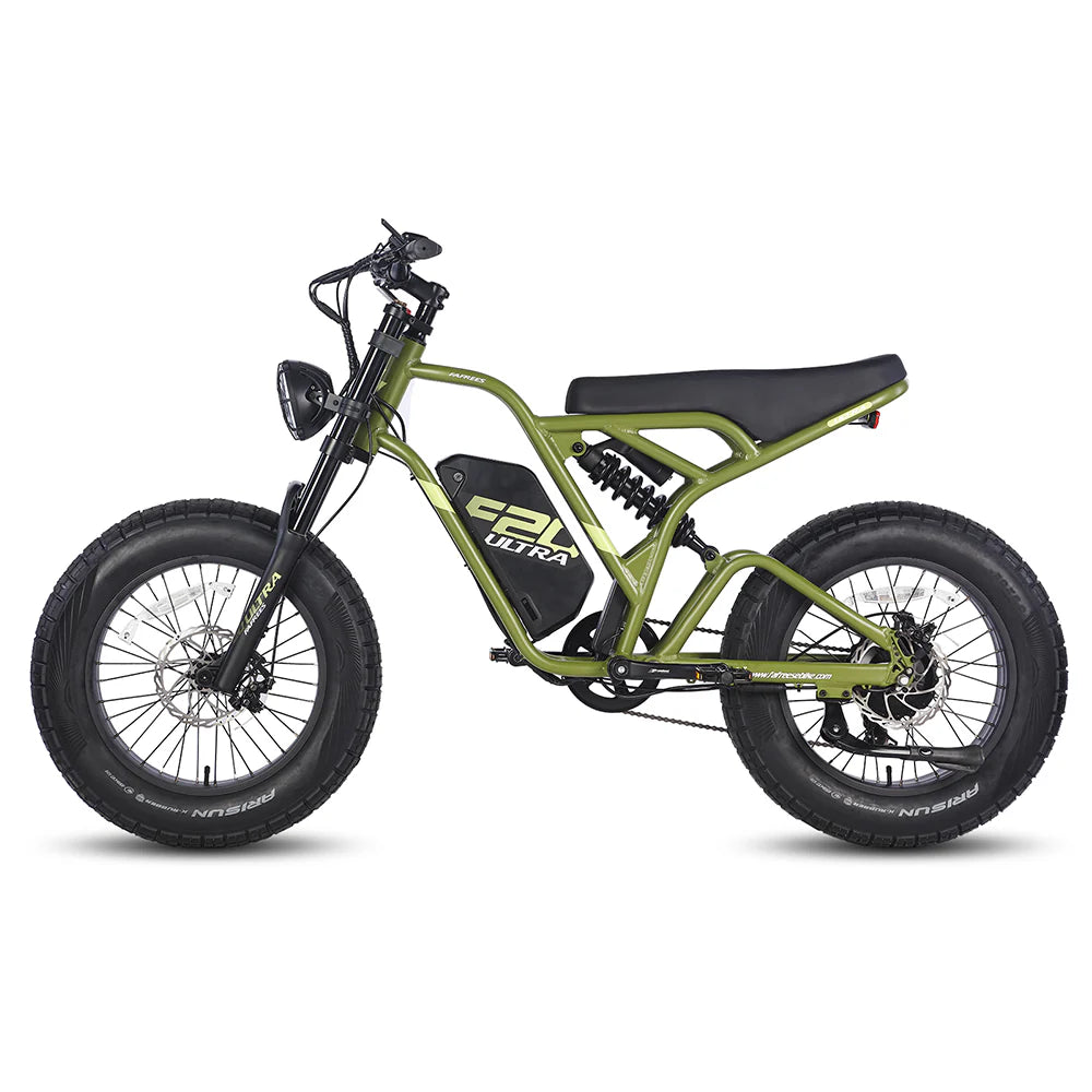 315-Fafrees F20 Ultra Robustes Elektroauto