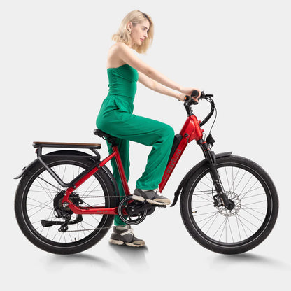 402-Crazybird Seta E-Bike