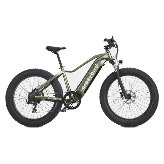 401-Crazybird Jumper E-Bike