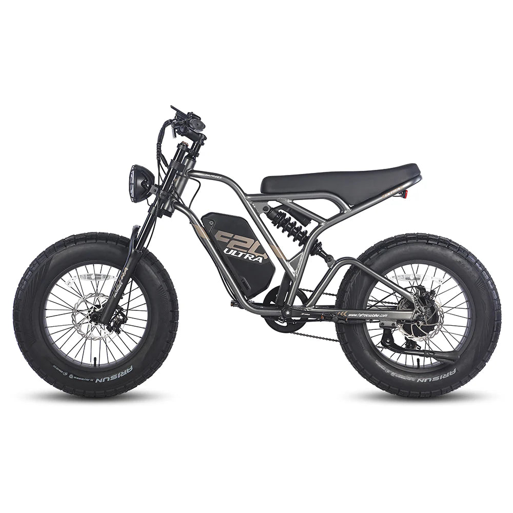315-Fafrees F20 Ultra Robustes Elektroauto