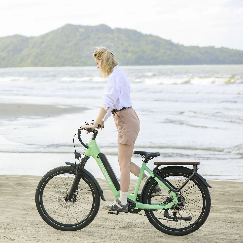 402-Crazybird Seta E-Bike