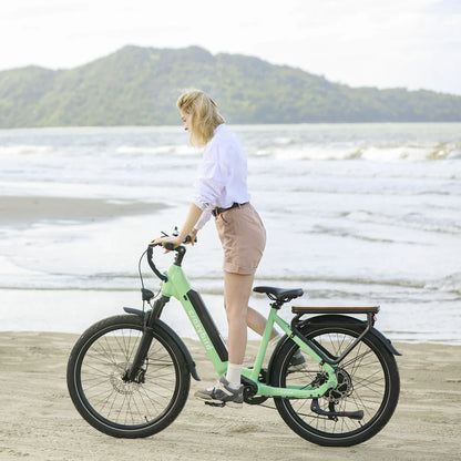 402-Crazybird Seta E-Bike
