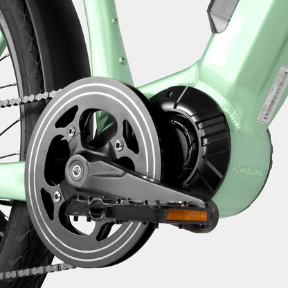 402-Crazybird Seta E-Bike