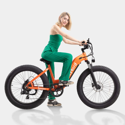 401-Crazybird Jumper E-Bike