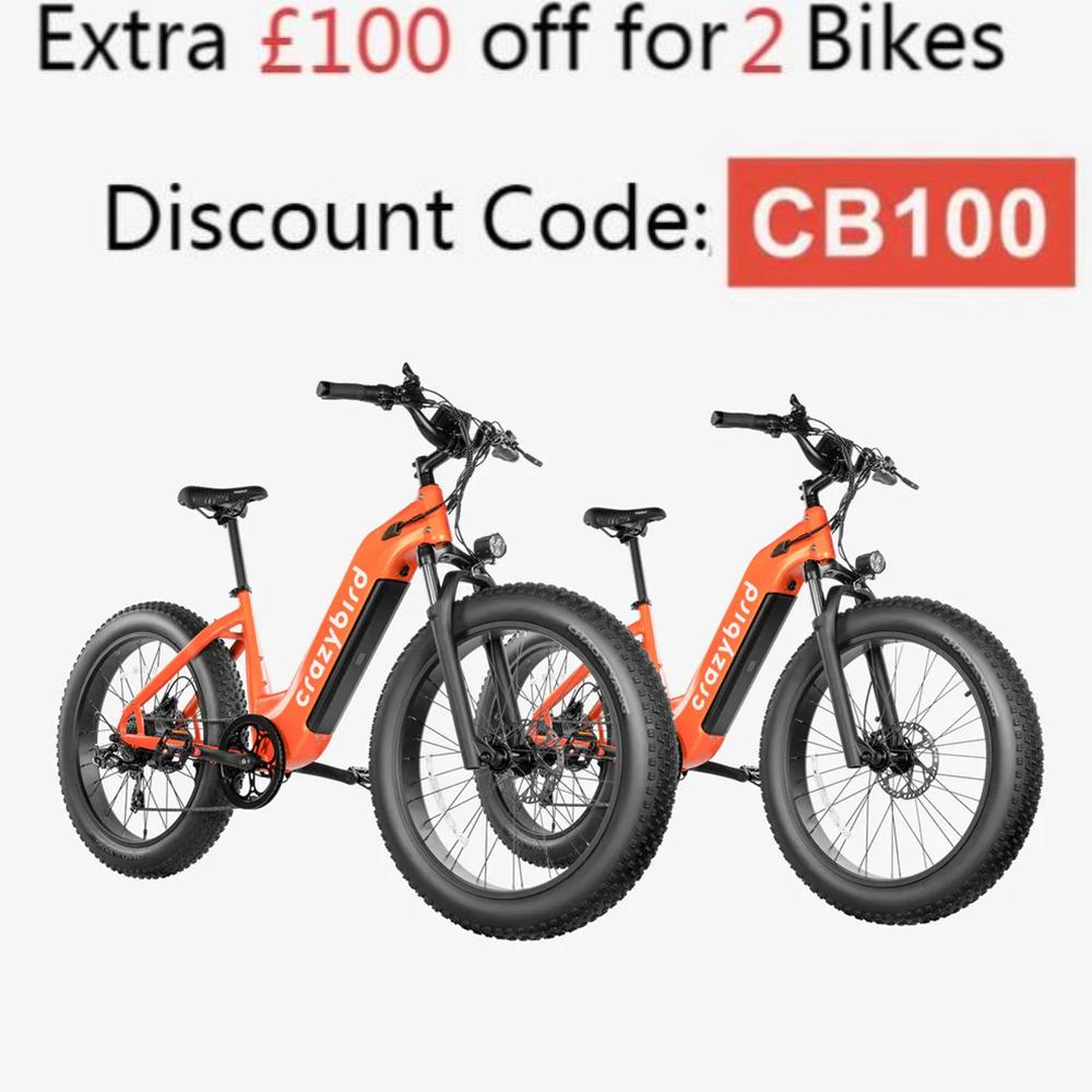 401-Crazybird Jumper E-Bike