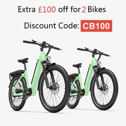 402-Crazybird Seta E-Bike