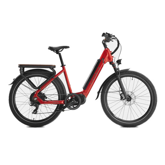 402-Crazybird Seta E-Bike