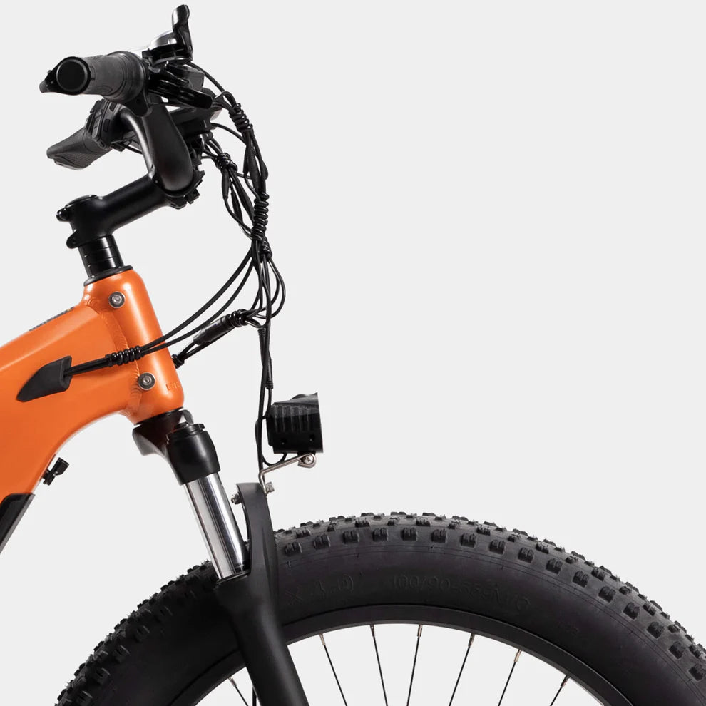 401-Crazybird Jumper E-Bike