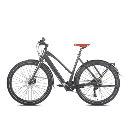 329-Fafrees F700W E-bike