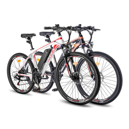 333-Fafrees Combo Sale Hailong One*2 E-bike