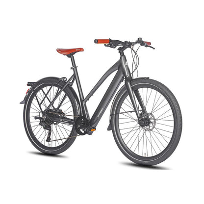 329-Fafrees F700W E-bike