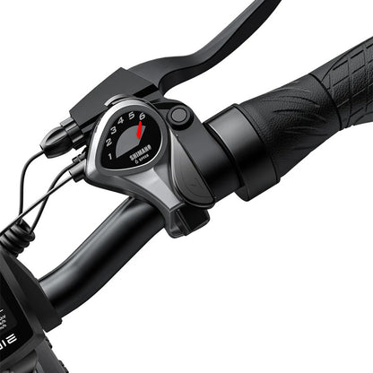 114-Engwe EP-2 Pro Combo with Additional Battery (16 Ah)