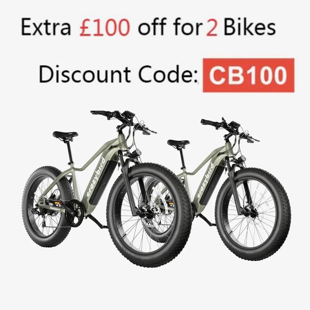 401-Crazybird Jumper E-Bike
