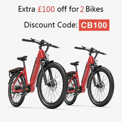 402-Crazybird Seta E-Bike